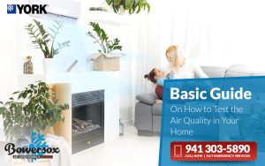 A Basic Guide on How to Test the Air Quality in Your Home