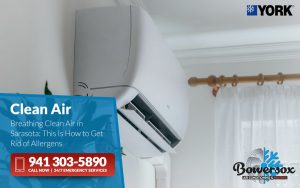 Breathing Clean Air in Sarasota This Is How to Get Rid of Allergens